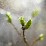 Γιατί να εξελιχθώꓼ Ένα πολύτιμο δίδαγμα της φύσης!